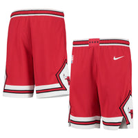 Thumbnail for Chicago Bulls Nike Youth 2020/21 Swingman Performance Shorts - Icon Edition - Red