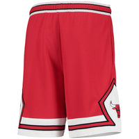 Thumbnail for Chicago Bulls Nike Youth 2020/21 Swingman Performance Shorts - Icon Edition - Red