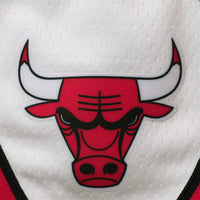 Thumbnail for Chicago Bulls Nike Youth 2020/21 Swingman Performance Shorts - Icon Edition - Red