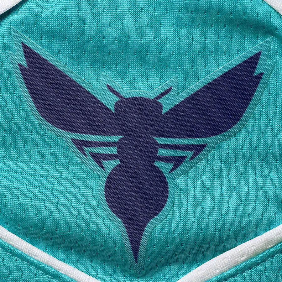 Charlotte Hornets Jordan Brand Youth 2020/21 Swingman Shorts - Icon Edition - Teal