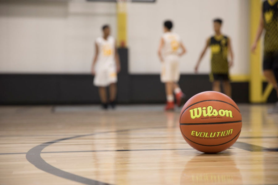 Wilson Evolution Official Basketball