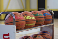 Wilson Evolution Official Basketball