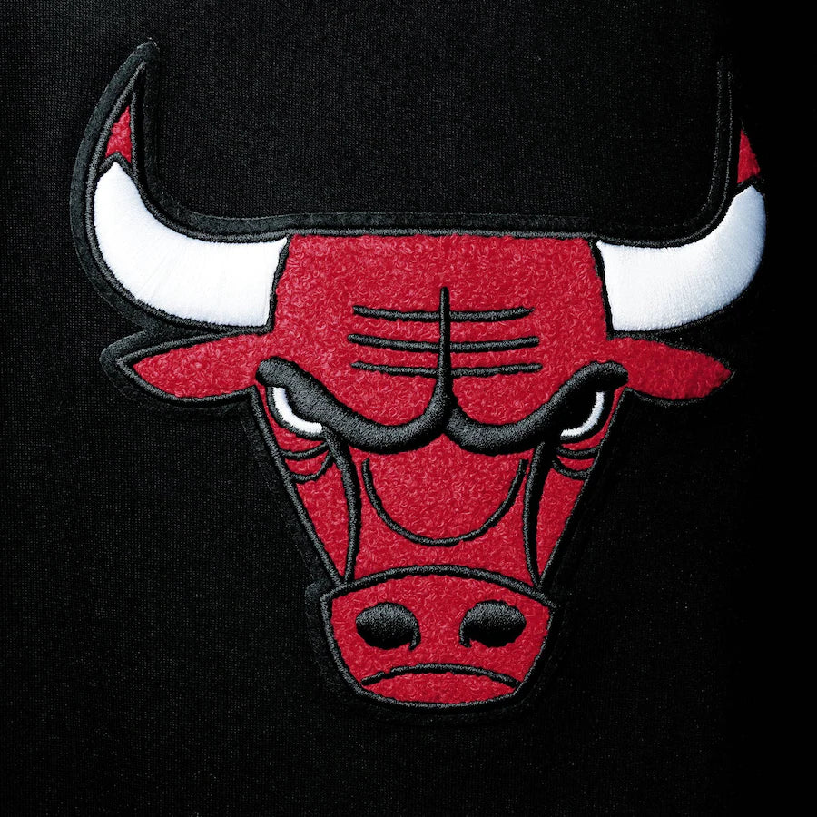 Chicago Bulls Pro Standard Chenille Pullover Hoodie - Black