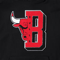 Thumbnail for Chicago Bulls Pro Standard Mash Up Capsule Pullover Hoodie - Black