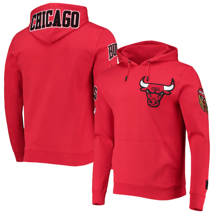 Chicago Bulls Pro Standard Chenille Pullover Hoodie - Black